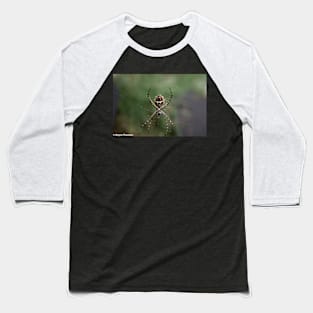 Orb Weaver Spider Baseball T-Shirt